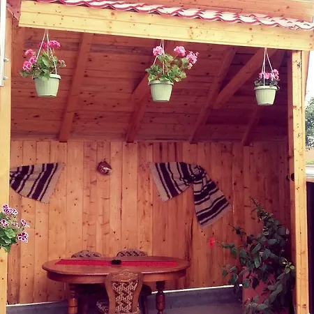 Vila Dorina Năvodari